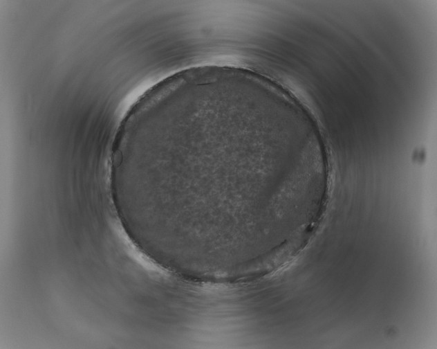 X0000112210944200908211515