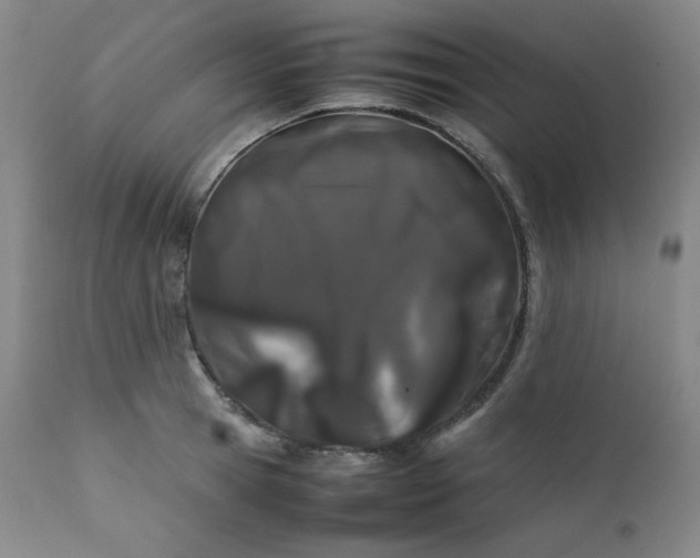 X0000112210945200908211515