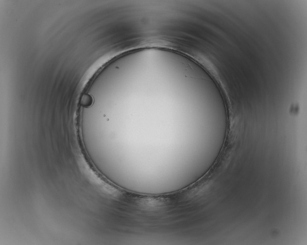 X0000112210947200908211515