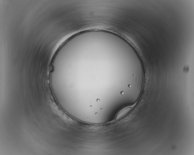 X0000112210948200908211515