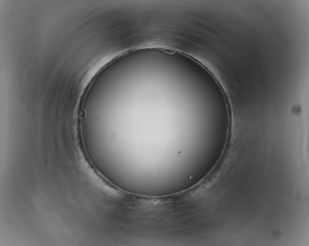 X0000112210949200908211515