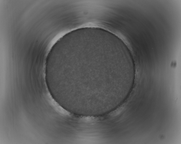 X0000112210950200908211515