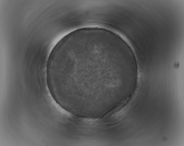 X0000112210951200908211515