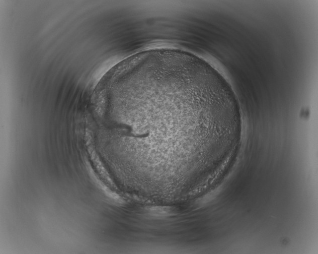 X0000112210953200908211515