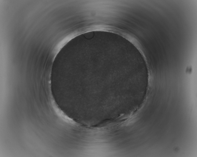 X0000112210954200908211515