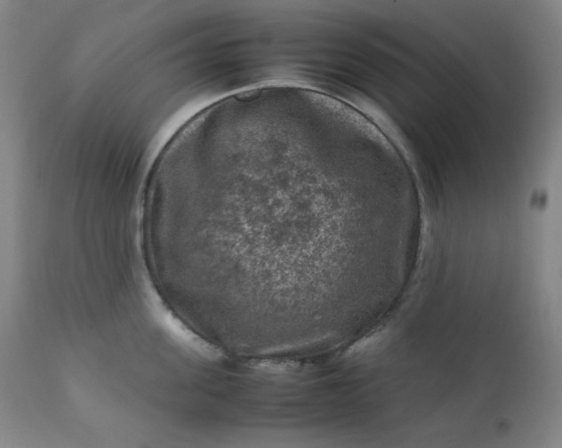 X0000112210955200908211515