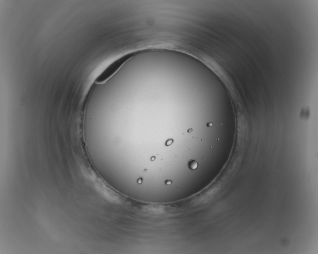 X0000112210956200908211515