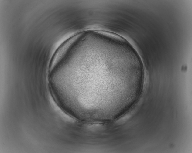 X0000112210957200908211515