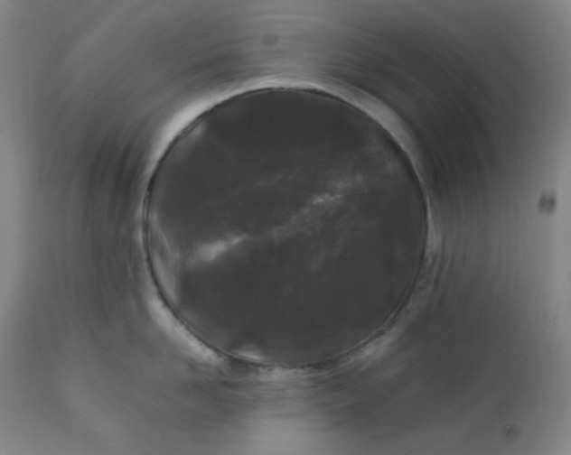 X0000112210958200908211515