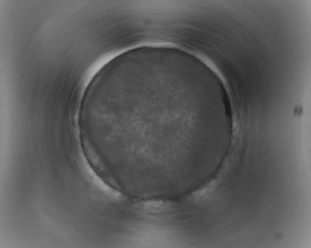 X0000112210959200908211515