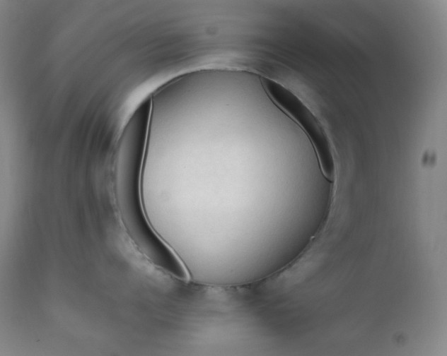 X0000112210960200908211515