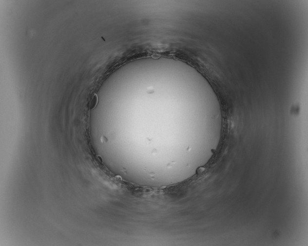 X0000112210961200908211515