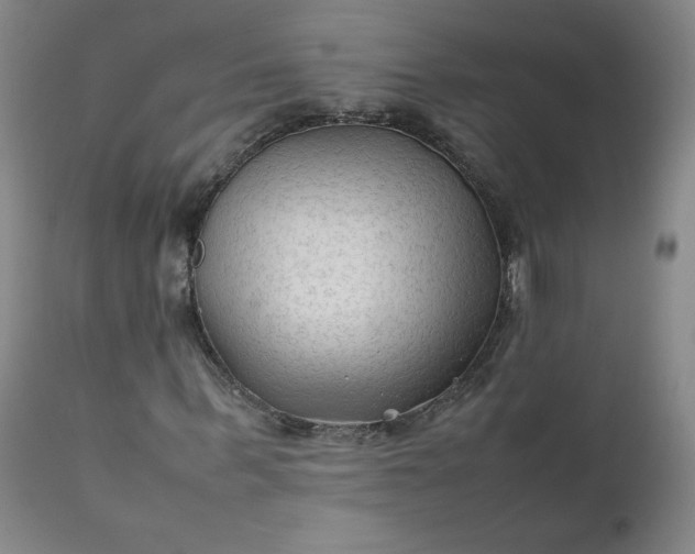 X0000112210963200908211515