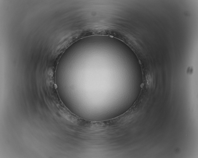 X0000112210964200908211515