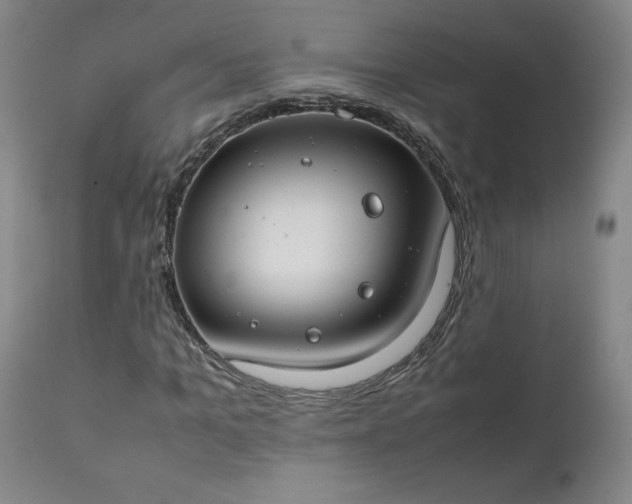 X0000112210965200908211515