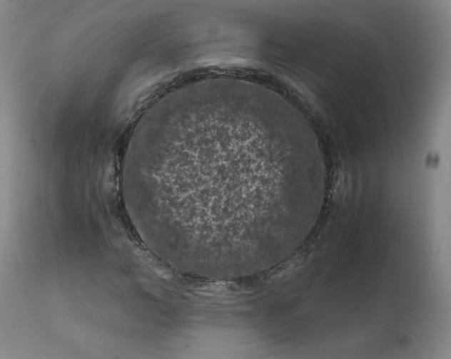 X0000112210966200908211515