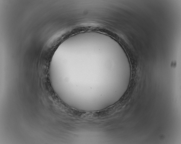 X0000112210967200908211515