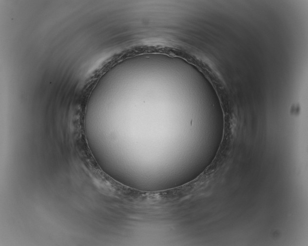 X0000112210968200908211515