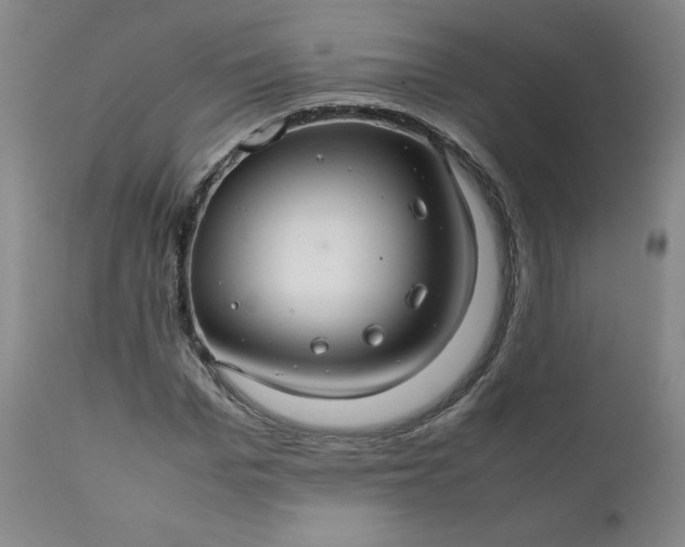 X0000112210969200908211515