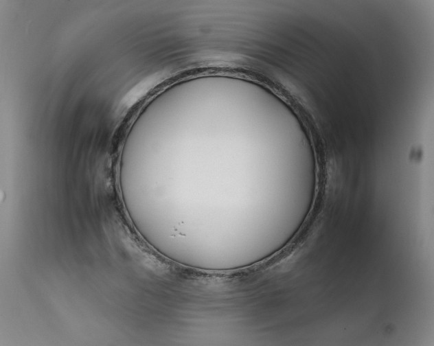 X0000112210970200908211515