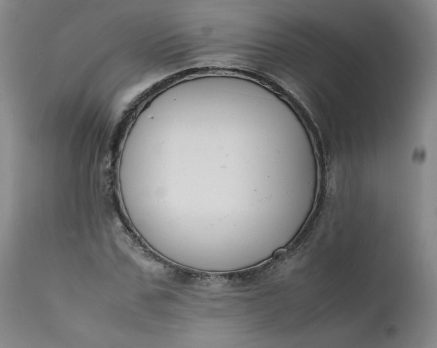 X0000112210971200908211515