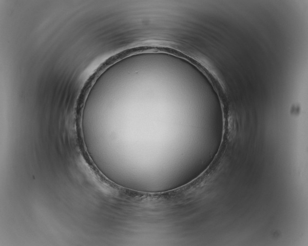 X0000112210972200908211515