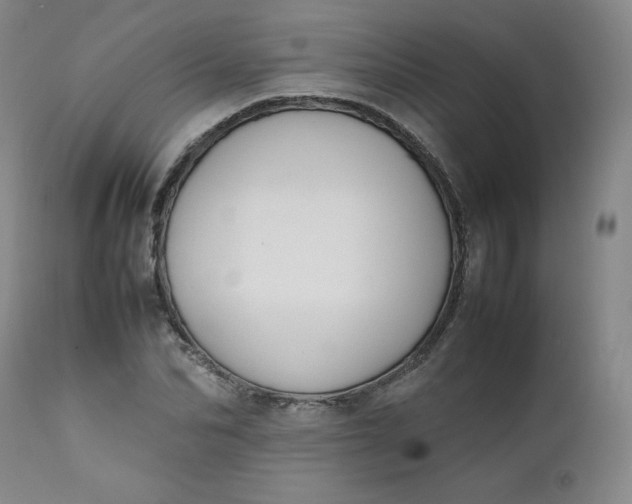 X0000112210974200908211514