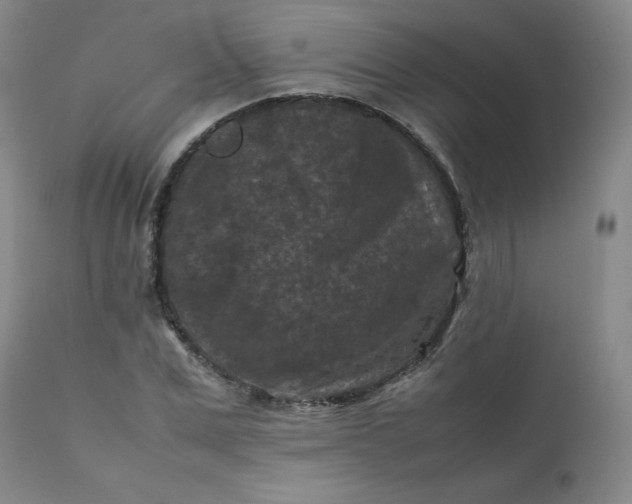 X0000112210975200908211514