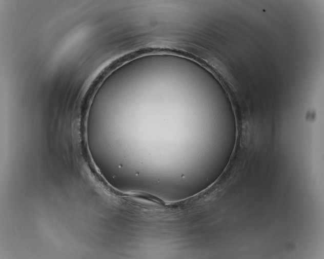 X0000112210976200908211514