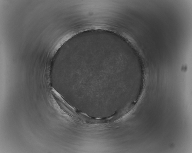 X0000112210977200908211514