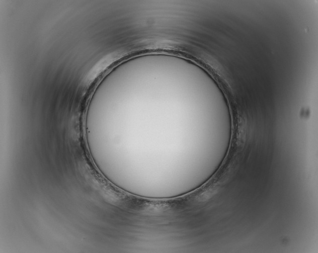 X0000112210978200908211514