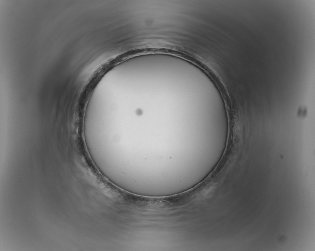 X0000112210979200908211514