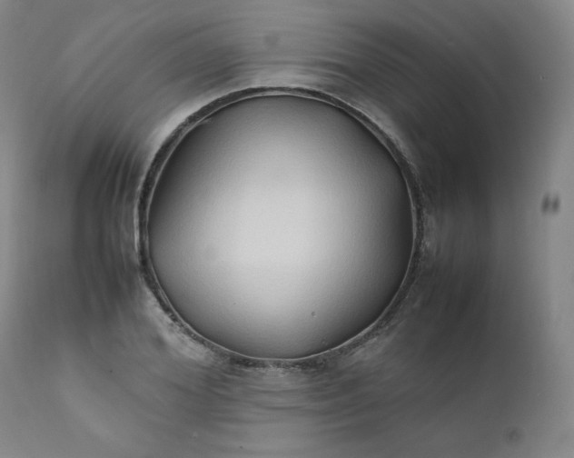 X0000112210980200908211514