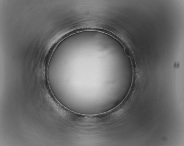 X0000112210981200908211514