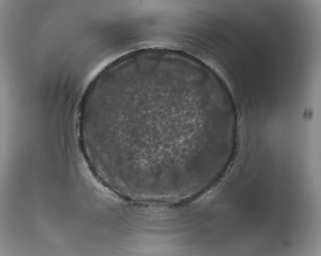 X0000112210983200908211514