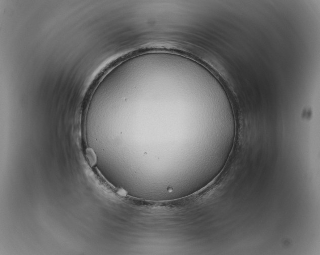 X0000112210984200908211514