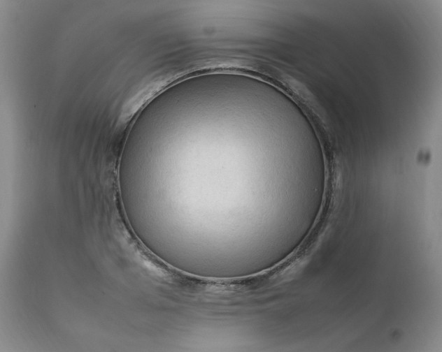 X0000112210985200908211514