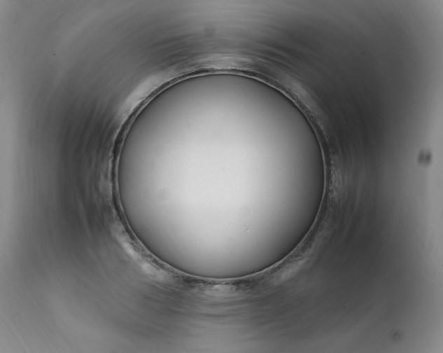 X0000112210986200908211514