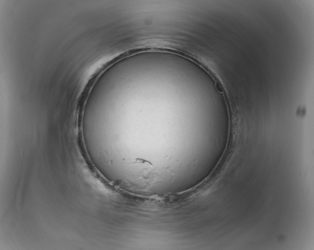 X0000112210987200908211514