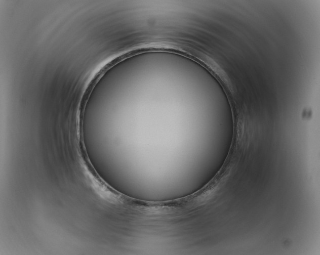 X0000112210988200908211514