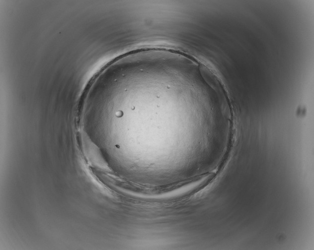 X0000112210989200908211514