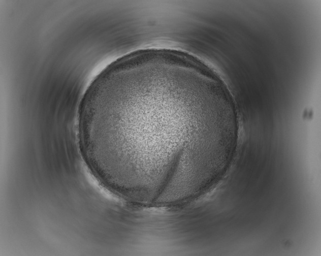 X0000112210990200908211514