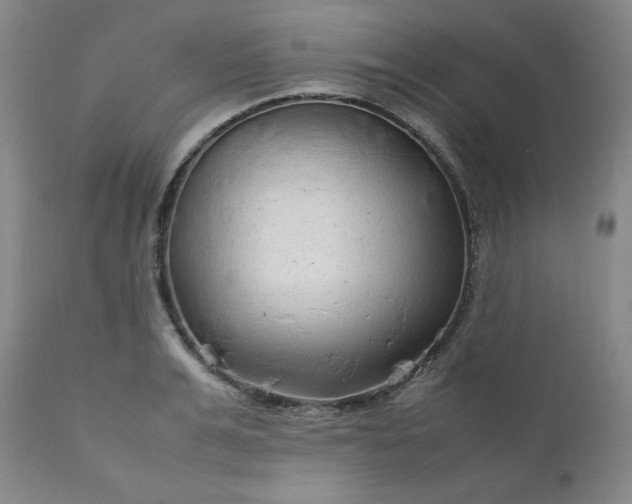 X0000112210991200908211514