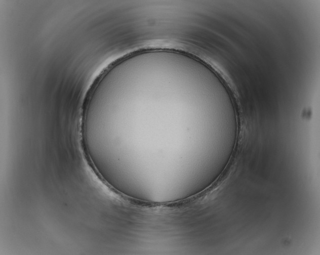 X0000112210992200908211514