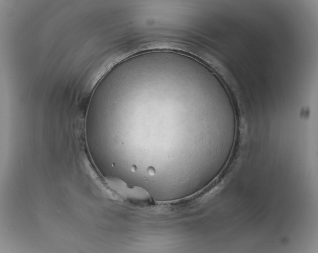 X0000112210993200908211514