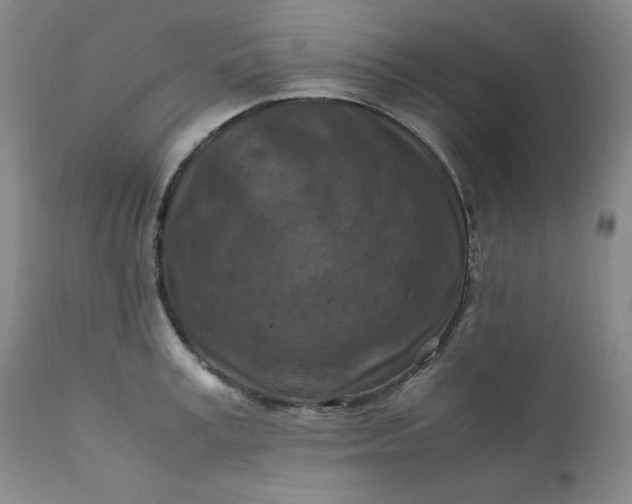 X0000112210995200908211514