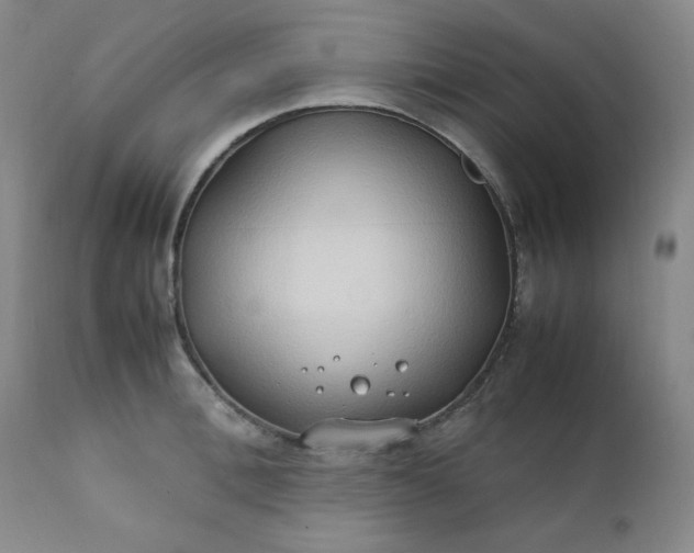 X0000112210996200908211514