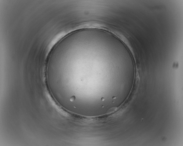 X0000112210997200908211514