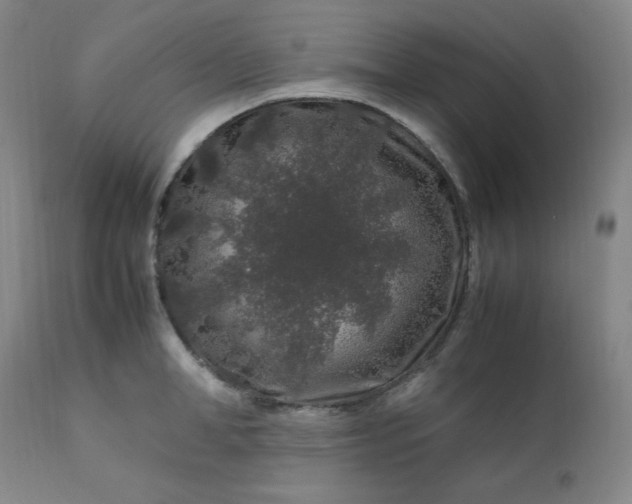 X0000112210998200908211514