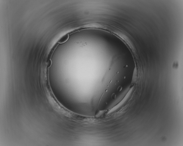 X0000112211000200908211514